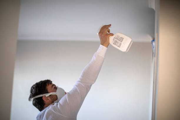 Best Water Damage Restoration  in Cortland West, NY