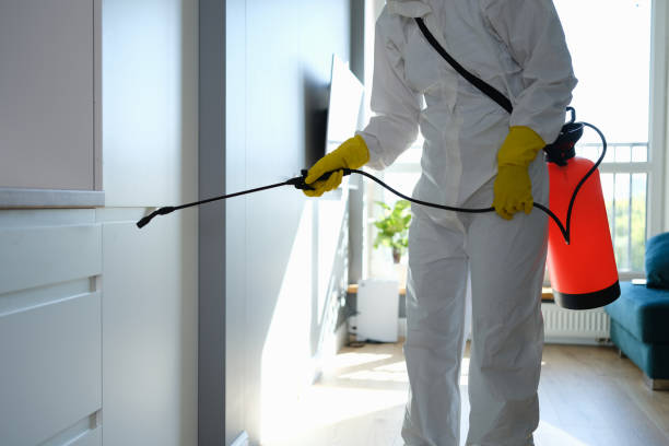 Best Office Mold Removal Services  in Cortland West, NY