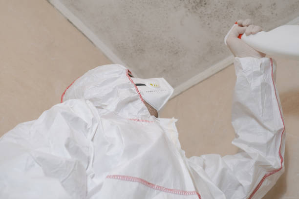 Best Affordable Mold Removal  in Cortland West, NY