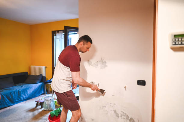 Best Water Damage Restoration  in Cortland West, NY